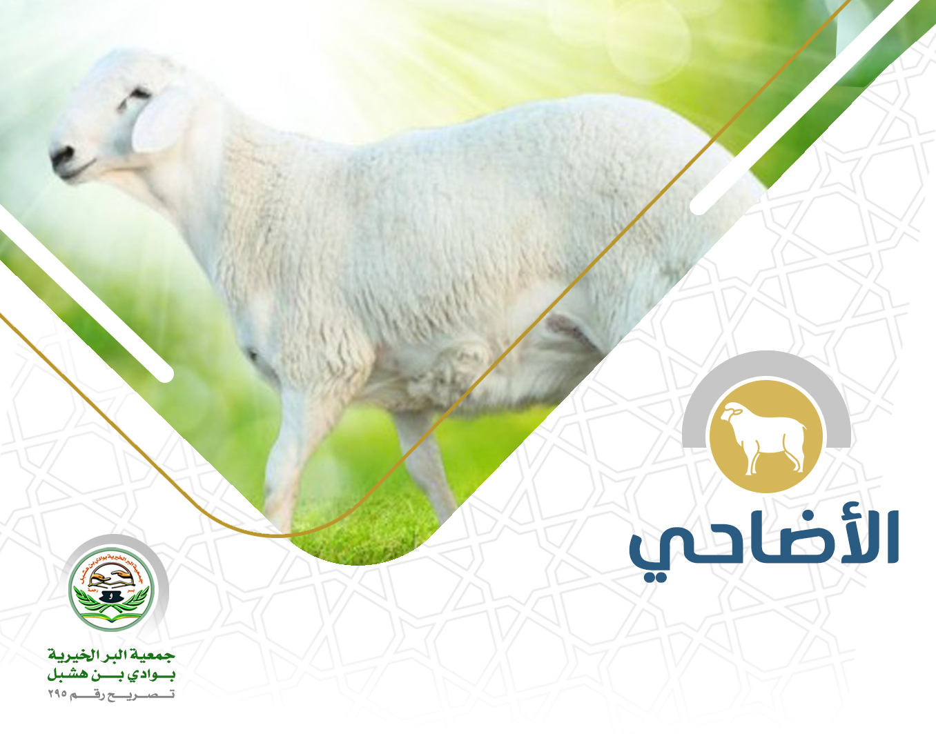 جمعية البر الخيرية بوادي بن هشبل